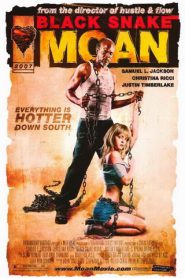 Black Snake Moan (2006) แรงรักดับราคะ(ซับไทย)