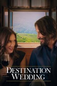 Destination Wedding (2018) ไปงานแต่งเขา แต่เรารักกัน