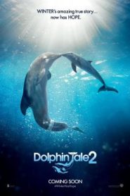 Dolphin Tale 2 (2014) มหัศจรรย์โลมาหัวใจนักสู้