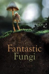 Fantastic Fungi (2019) เห็ดมหัศจรรย์