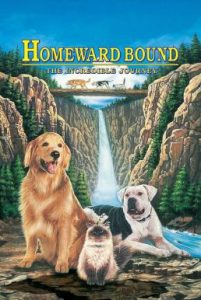 Homeward Bound The Incredible Journey (1993) สองหมาหนึ่งแมว ใครจะพรากเราไม่ได้