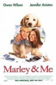 Marley & Me (2008) จอมป่วนหน้าซื่อ