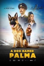 A Dog Named Palma (Palma) (2021) บรรยายไทยแปล