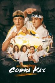 Cobra Kai : คอบร้า ไค Season 6 (2024) Netflix บรรยายไทย